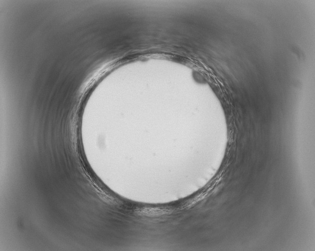 X0000115350341200912151341