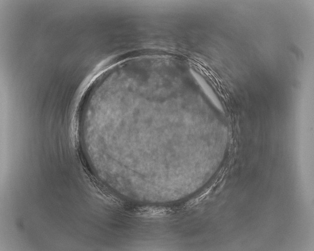 X0000115350343200912151341