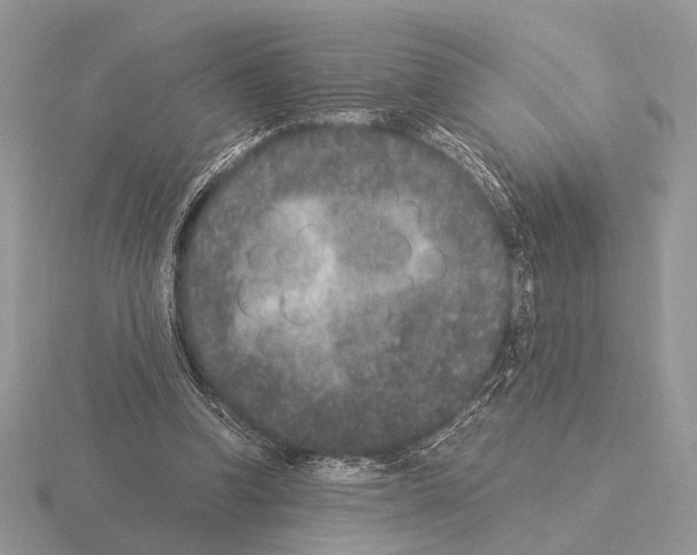 X0000115350346200912151341