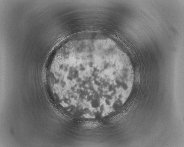 X0000115350347200912151341