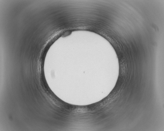 X0000115350350200912151341