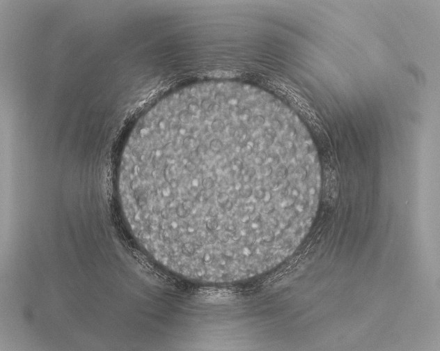 X0000115350354200912151341