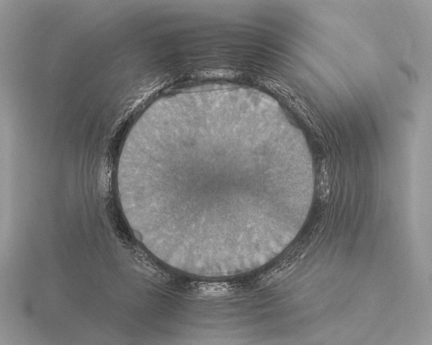 X0000115350355200912151341