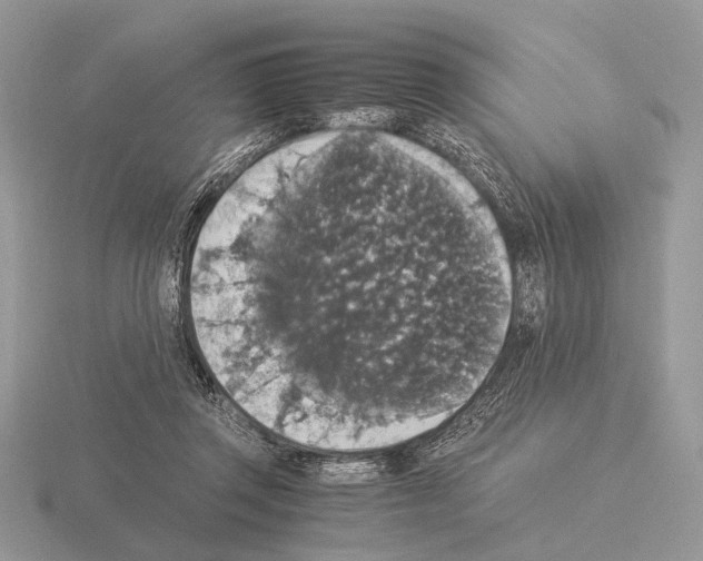 X0000115350357200912151341