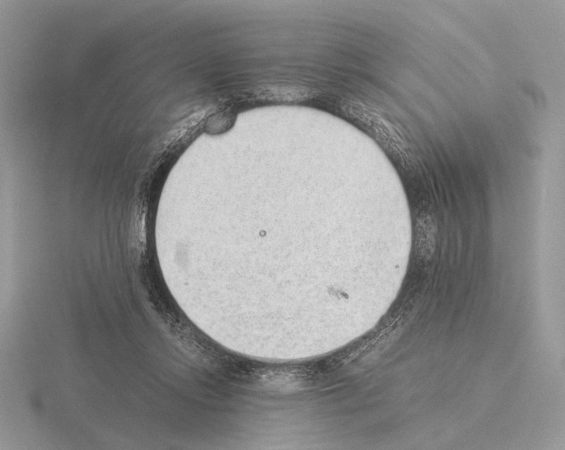 X0000115350358200912151341