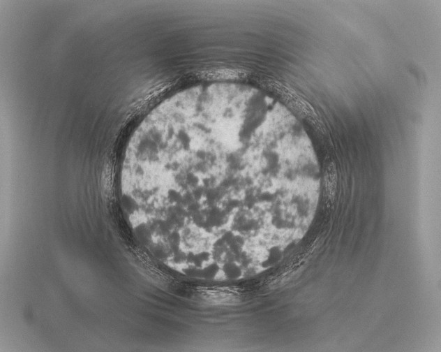 X0000115350359200912151341