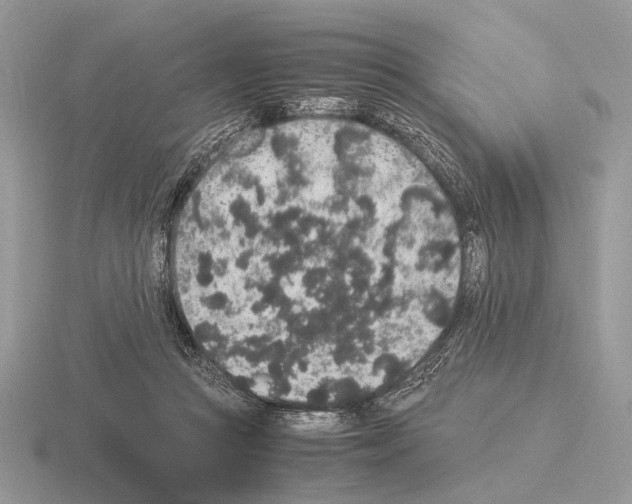 X0000115350361200912151341