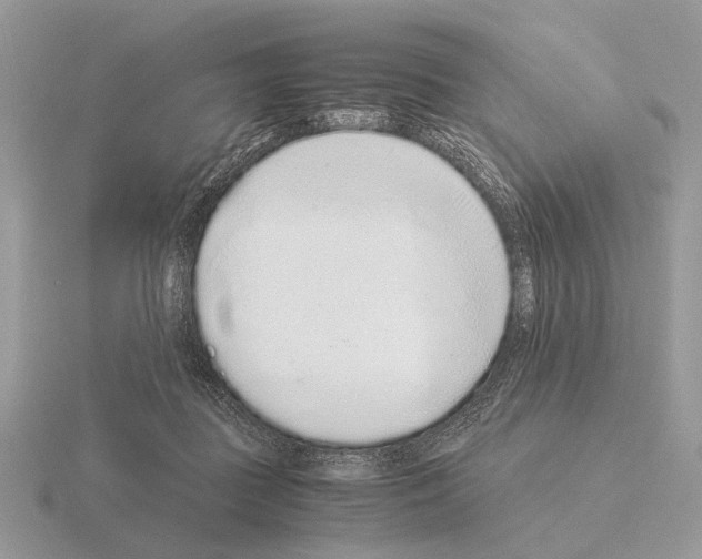 X0000115350363200912151341