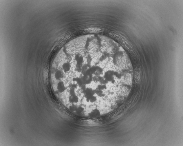 X0000115350365200912151341