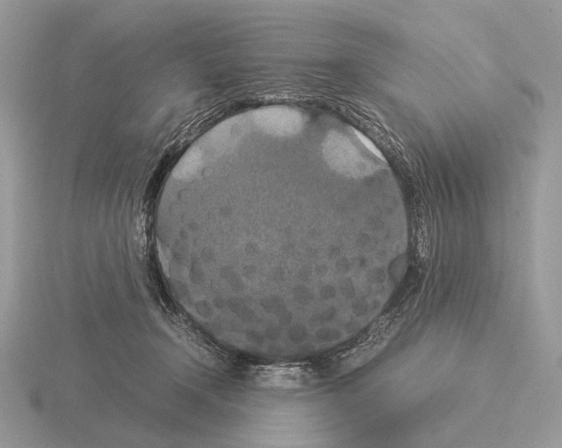 X0000115350366200912151341