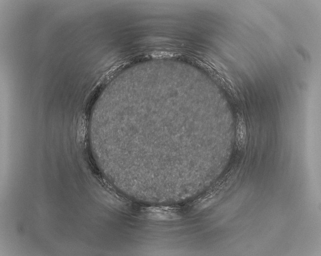 X0000115350367200912151341