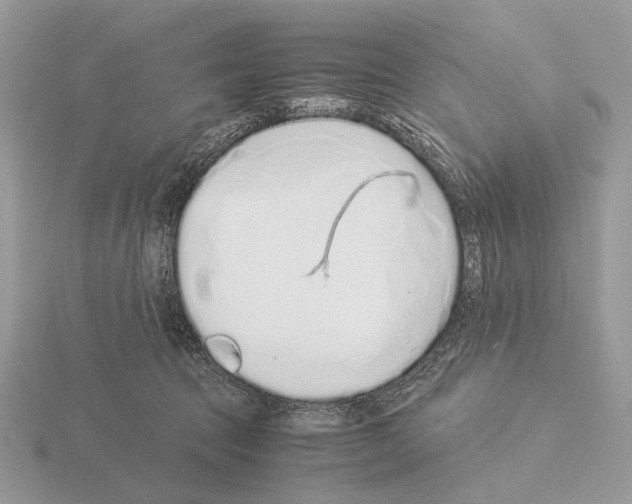 X0000115350369200912151341