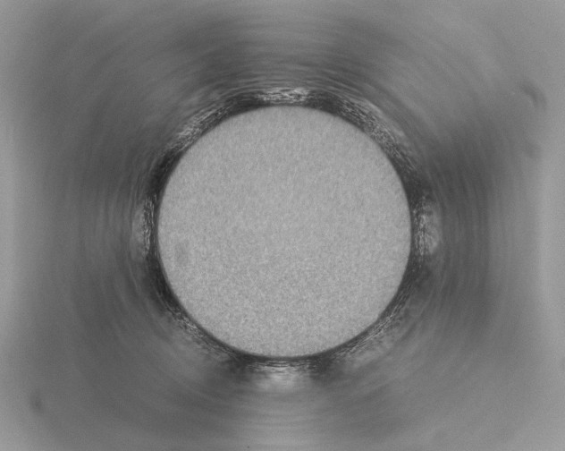 X0000115350370200912151341