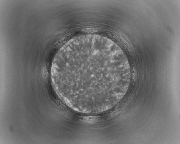 X0000115350371200912151341