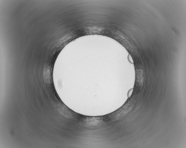 X0000115350378200912151341