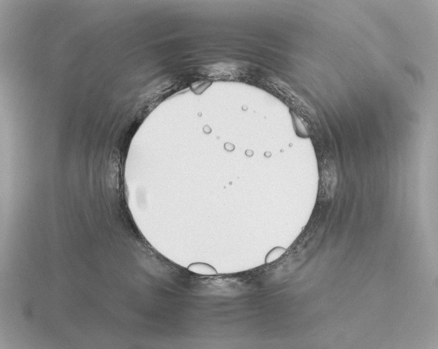 X0000115350379200912151341