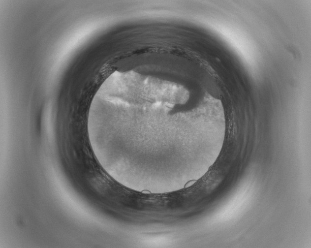 X0000115350383200912151341