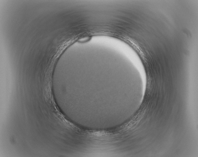 X0000115350385200912151340