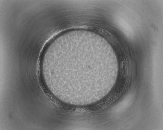 X0000115350388200912151340