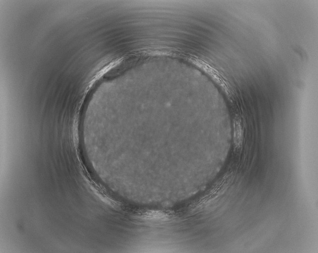 X0000115350390200912151340