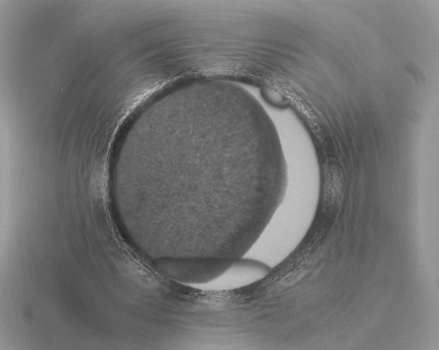 X0000115350391200912151340