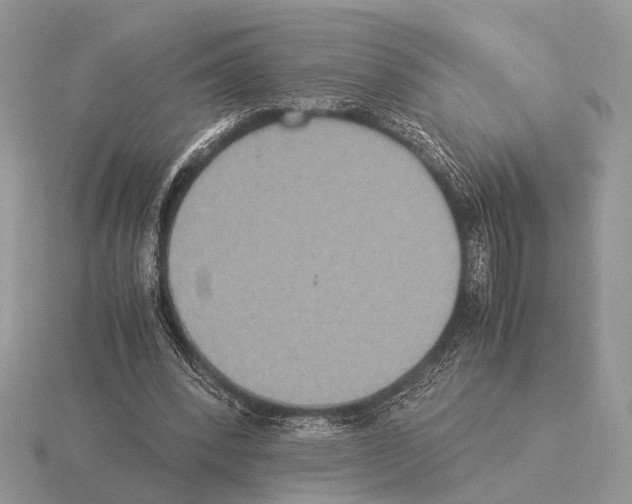 X0000115350392200912151340