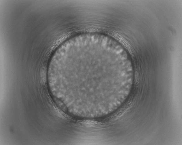 X0000115350393200912151340