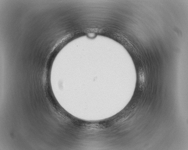 X0000115350396200912151340