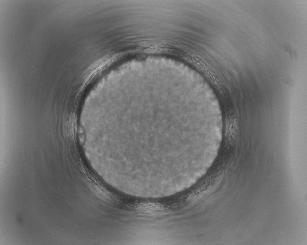 X0000115350397200912151340