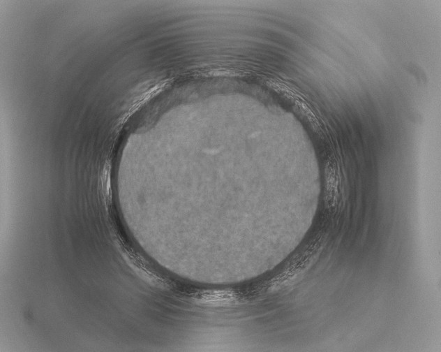 X0000115350398200912151340