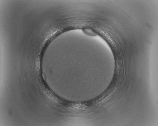 X0000115350399200912151340