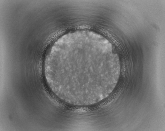 X0000115350402200912151340