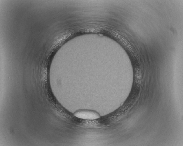 X0000115350403200912151340