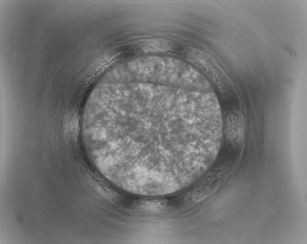 X0000115350405200912151340