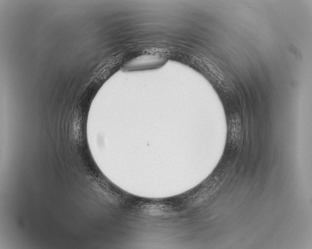 X0000115350408200912151340