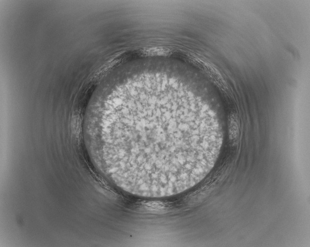 X0000115350409200912151340