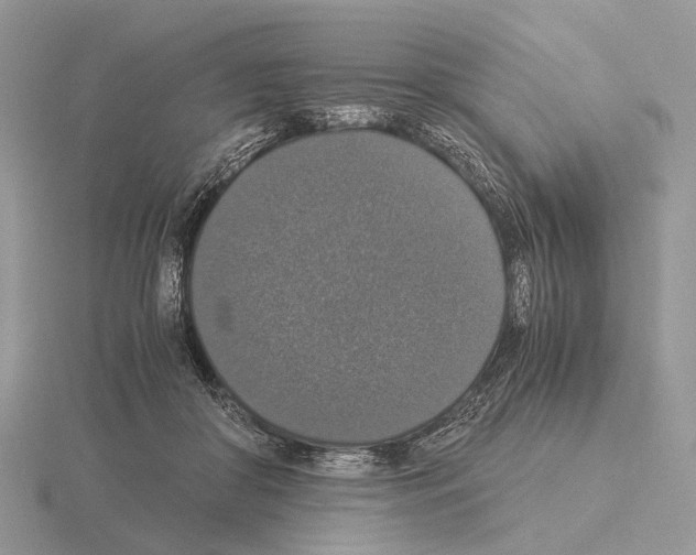 X0000115350410200912151340