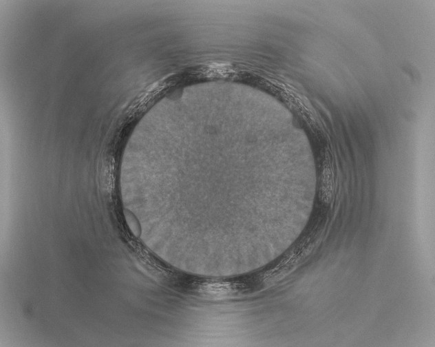 X0000115350413200912151340