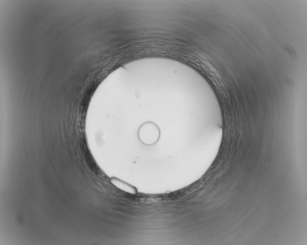 X0000115350419200912151340