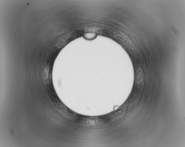 X0000115350420200912151340