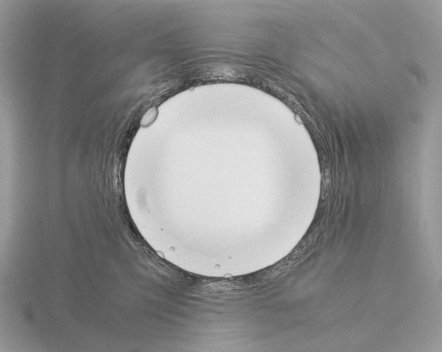 X0000115350423200912151340