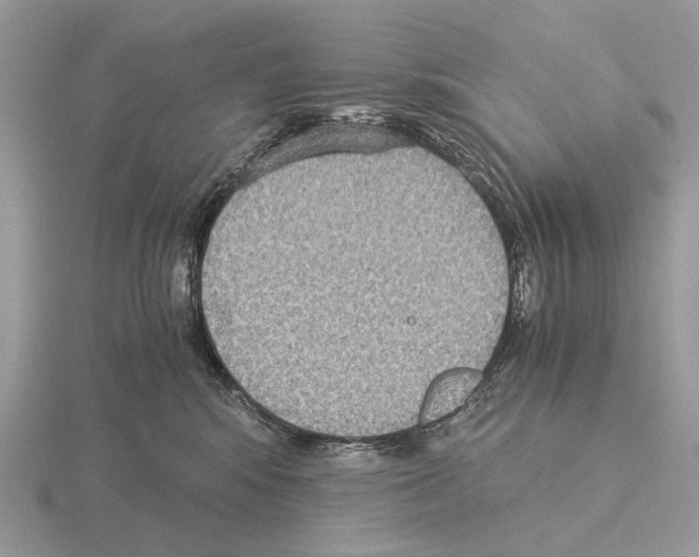 X0000115350424200912151340