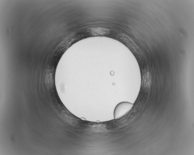 X0000115350426200912151340