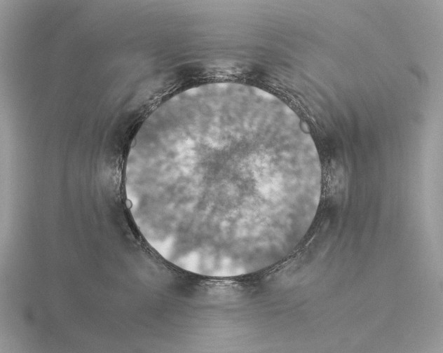 X0000115350427200912151340