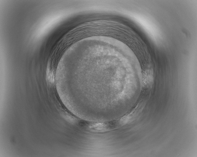 X0000115350431200912151340