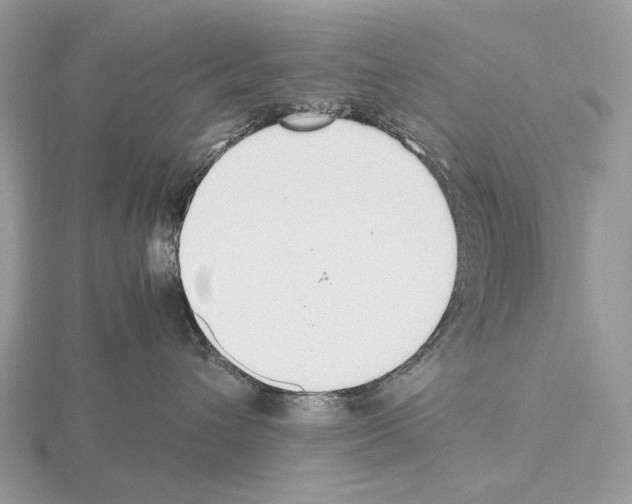 X0000115350432200912151340