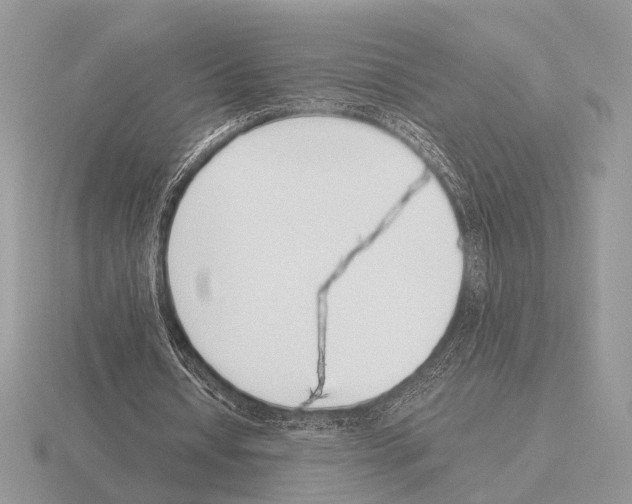 X0000115350434200912151339