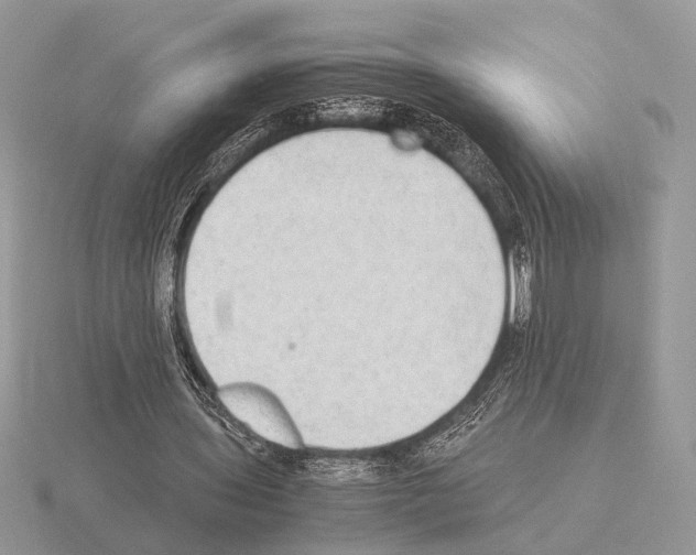 X0000115350435200912151339