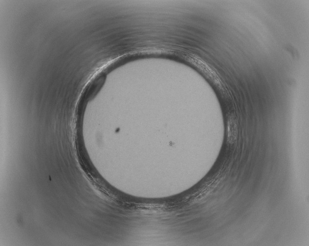 X0000115350436200912151339