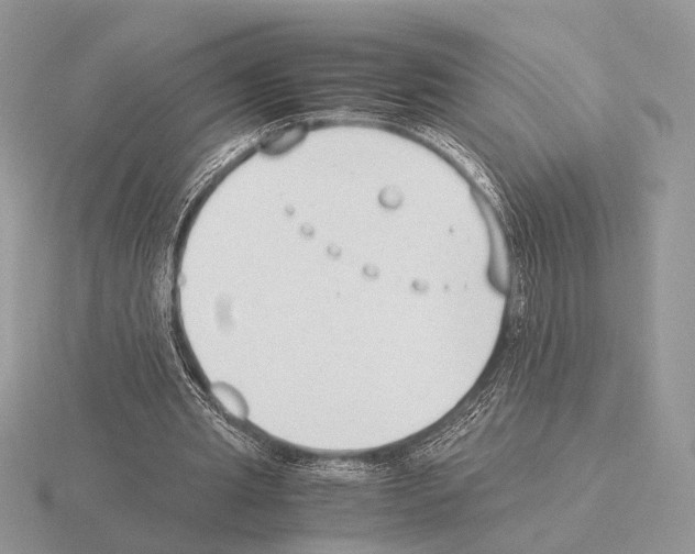 X0000115350437200912151339